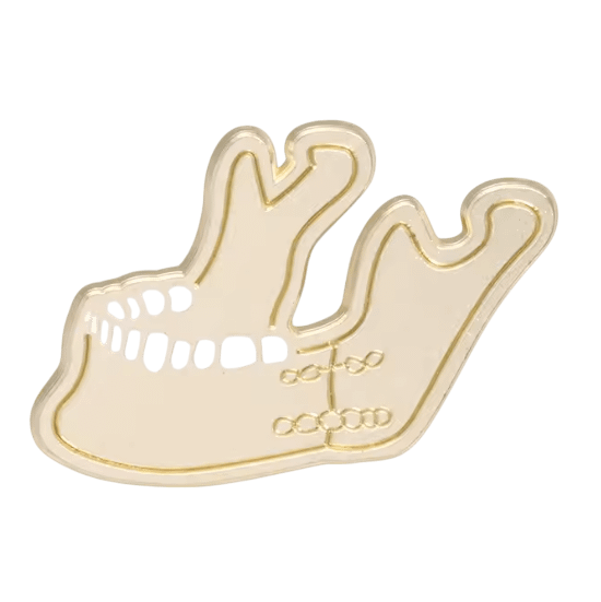 Jaw Surgery Tooth Pin